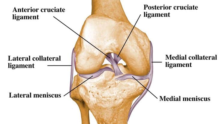 Collateral Ligament (MCL & LCL) Injury Treatment Chillicothe, Ohio