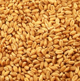 three nutrition whole grain alternatives