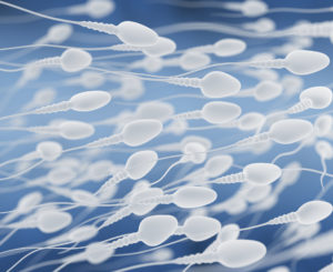 Trouble Conceiving After Vasectomy Reversal