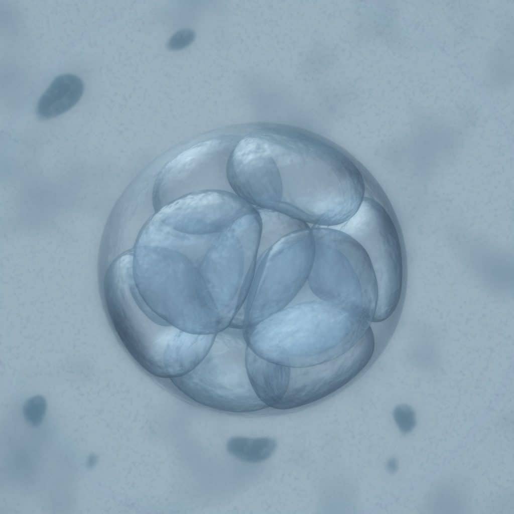 In Vitro Fertilization and Male Infertility