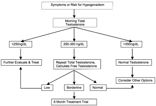 Low Testosterone Symptoms