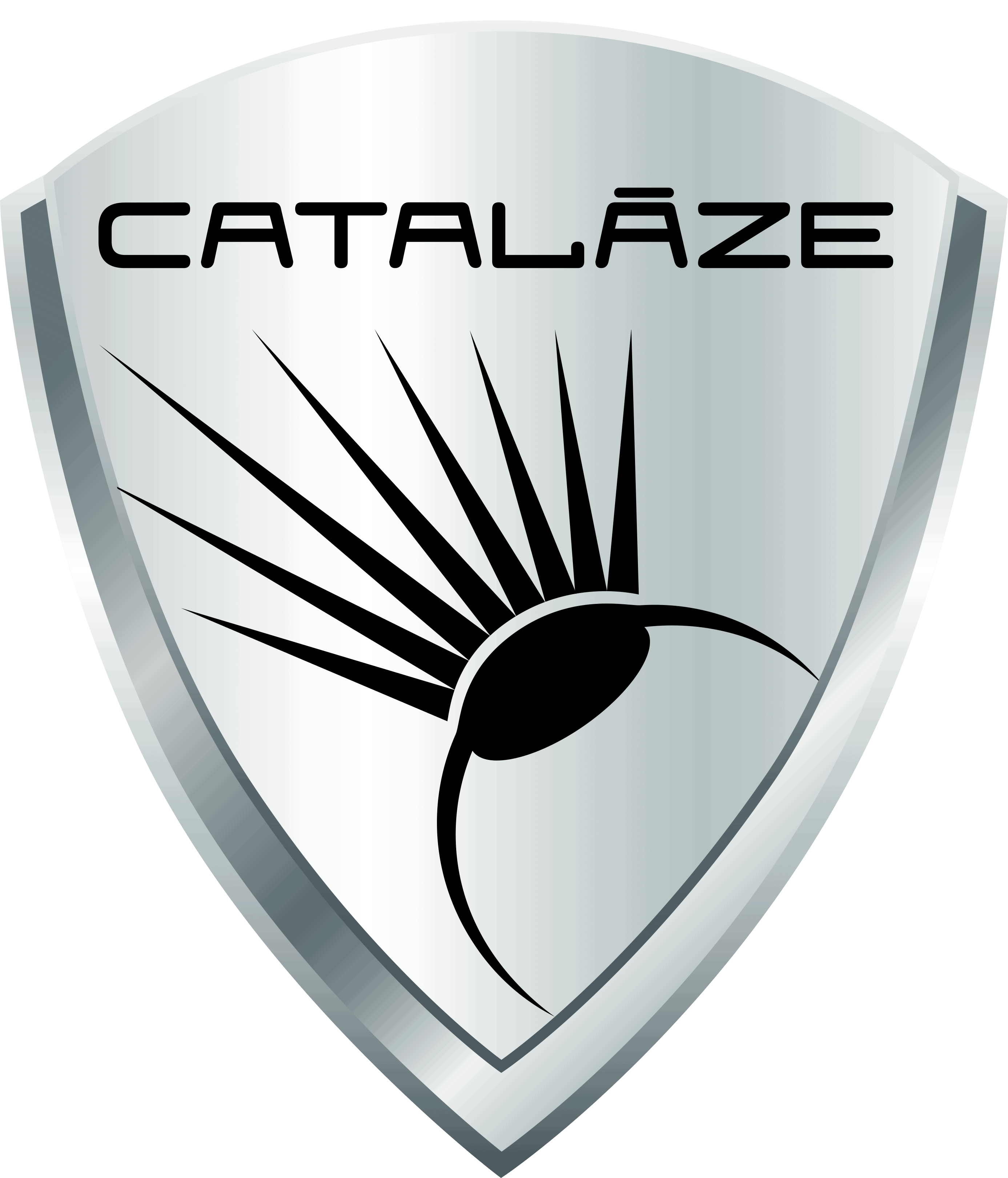 Catalaze cataract removal surgery icon