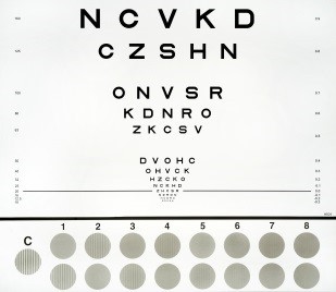 CSV-1000RS